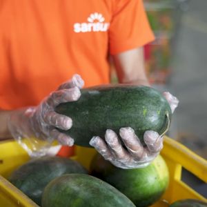 SukiGrocer Banana Leaves 230-250G [Dahon ng Saging]