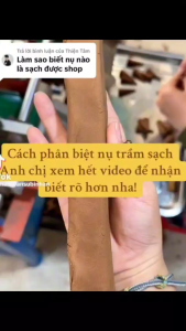 1kg Trầm Quế huế ( 2 gói x 500g 355 nụ quế thật loại 1 )