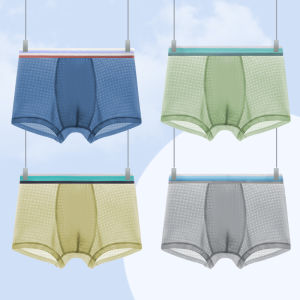 MiiOW | Ice Silk Briefs For Boys Childrens Underwear Thin Summer Mid-Term Large Children Primary School Development Period Baby Shorts