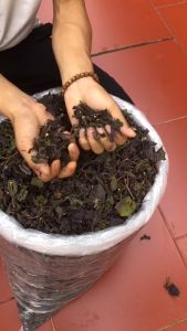 [CHÍNH HÃNG] Xà Phòng Thảo Dược Tía Tô HTX Sinh Dược xà bông thiên nhiên -100g