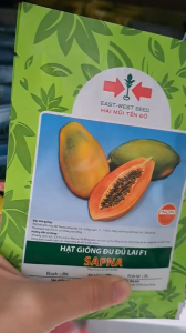 (GÓI 65 hạt) Hạt Giống Đu Đủ Lai F1 SAPNA HAI MŨI TÊN ĐỎ - Cây sinh trưởng khỏe ruột màu đỏ cam độ đường cao