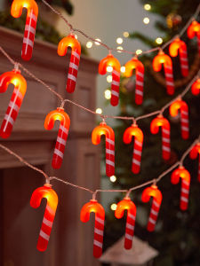 BEAUTY IN THE LIGHT | Decorative LED Lights for Home