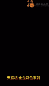 【福田】天宫坊 全金彩色系列 （地主金/五路财神/三观库金/还债金/万寿金/贵人金）- 神料/拜神纸/贵人纸/大神/天神/大金/joss paper