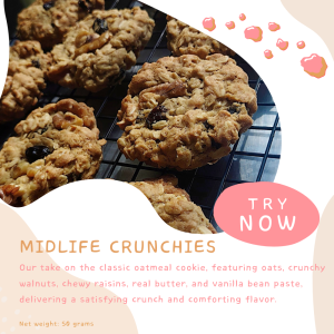 Oatmeal Crunchies Cookie by Wild Krumbz (50 grams)