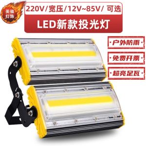 Outdoor LED Spotlight Waterproof Courtyard Lighting Advertising Signboard Fishing Boat Lamp Post Lighting 12V Outdoor Illumination