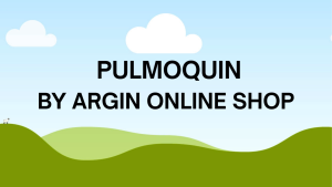 PULMOQUIN Mucolytic Ambroxol/hydrochloride (60ml)