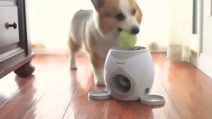 "Local Stock"  Throwing Machine Dog Training Toy Pet Tennis Launcher Puppy Ball Throw Device Dog feeder Dog Bowl