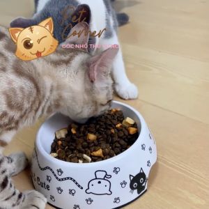 Hạt mix cao cấp cho mèo trộn thịt bò gà tôm cá lòng đỏ trứng rau củ quả - Thức ăn hạt cho mèo kén ăn