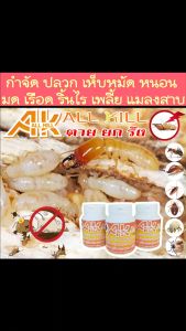 กำจัดปลวกยกรัง | เห็บหมัดหมา ตัวเรือด ตัวริ้นไร เหา หนอนต่างๆ ฆ่ามด 100% ติดเชื้อตายยกรัง | ปลอดภัยต่อสัตว์เลี้ยง