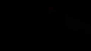 SLS Shop B Solution honey 蜂蜜活力饮  QR 扫码验证 100%  原装正品  (保秘发货) (1box 10 Sachets) (一盒 10包) B Solution Honey Price In China - Lazada