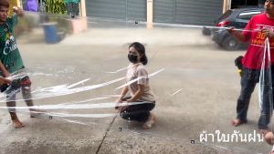 ผ้าใบใสกันฝน หน้ากว้าง 2.5 ม. ยาว 2-5 ม. เจาะเย็บตาไก่จากโรงงาน - สีของ ราคา 2,500 ราคาล่าสุด