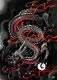 Nine_Dragon99