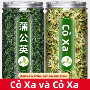 Trà Thảo Mộc Bồ Công Anh Hoang Dã