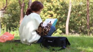 Touch Graphic Art Twin Tip Marker Pen Set Sketching Oily Tip Alcohol Highlighter Beginners Adult Children Coloring