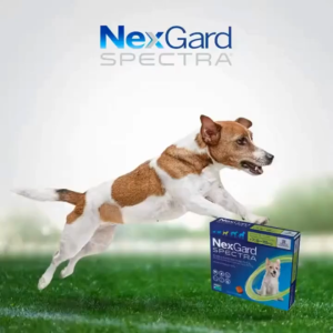 Nexgard and Nexgard Spectra Deworming Anti Tick and Flea for Dogs Monthly Chewable Tablet