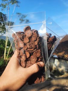Buah Pinang Iris Kering Grade A