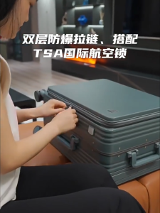 JUPITER FLY Luggage Travel in Style with 20"/24" Suitcase Silent Spinner Wheels&Durable PC Build