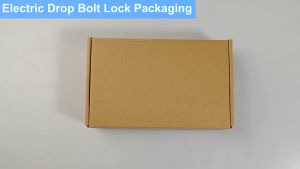 DC12V Fail Safe NC Electric Drop Bolt Lock Access Control Electronic Door Mortise Locks with Time Delay for Gate Entry System