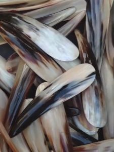 [FREESHIP MAX]Dụng cụ cạo gió ấn huyệt toàn thân bằng sừng (MH813) Lưu thông khí huyết