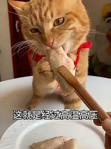 AIBAK Pet Snacks Steamed Chicken Liver for Cats and Dogs Low Fat Low Salt