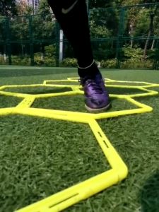 SPEEDS Agility Heksagonal Ketangkasan Kelenturan Kaki 56cm Latihan Gerakan Olahraga Futsal LX 005-9
