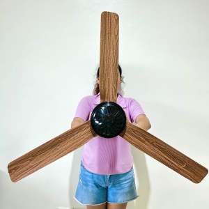 SW POWER BIG CEILING FAN 1050MM Diameter Size Indoor and Outdoor use with 25watts only