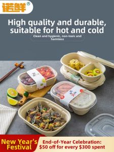 NUOXIAN | Eco-Friendly Degradable Commercial Paper Pulp Meal Box