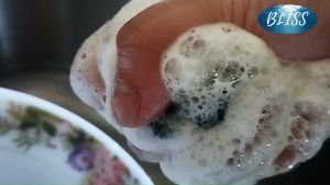 BLISS DISHWASHING LIQUID