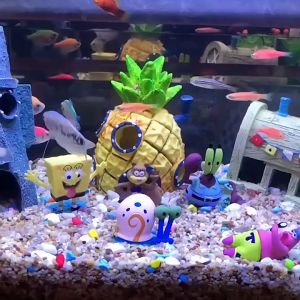 Đa Dạng Mô Hình Nhà Ở Hang Trú Ẩn Trang Trí Bể Cá Cảnh Phụ Kiện Nhà Cảnh Quan Siêu Dễ Thương