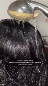 [PAKET HEMAT] 3Pcs VIVA Shampoo Urang Aring Shampo Ginseng Lidah Buaya Sampo Penumbuh Rambut Jumbo Promo Murah Shampoo Rambut Rontok Anti Ketombe 400ml