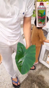 Bom Stick 4P Perekat Perata Pembasah dan Penembus 1.000 ml