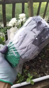 SARUNG TANGAN SAFETY/SARUNG TANGAN RECONDISI/SARUNG TANGAN JARI KARET /SARUNG TANGAN PEKERJA1PACK ISI 12PASANG