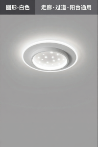 smeou | Luxury Elegant Modern Simple Ceiling Light
