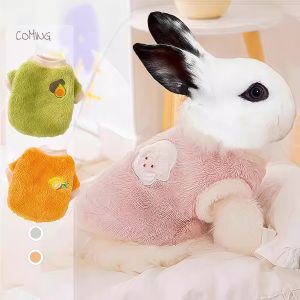 Jiaxun | Lop-eared Dwarf Rabbit Spring Warmth Clothes