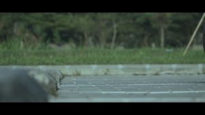 Ban NMAX Depan Belakang Baru Ascendo NMAX Ring 13 Ban Motor Ring 13 Ukuran 130/70-13 Dan 110/70-13 Aksesoris Nmax Berkualitas - Lazada