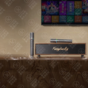 kinyo | Retro Karaoke Bluetooth Speaker with Amplifier Home Use