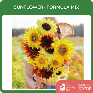 Premium Non-GMO Seeds - Sunflower Formula Mix