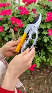 Clip Pruning Shears Gardening Tools Garden Scissors Tree Cutter Plant Scissor Gunting Pokok Bunga Pemotong Dahan