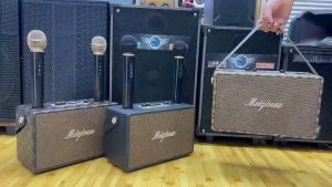 ลำโพงบลูทูธ MN-202 ลูกสิ้น 4 นิ้ว เครื่องดื่ม คอมพิวเตอร์ แถมไมค์ลอย 2 ตัว