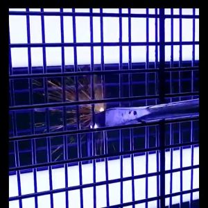 No flying insects in 100y🔥2025AI NEW Mosquito electric killer lamp perangkap lalat Fly killer electric Mosquito killer machine Wall mounted 灭蚊灯 捕蝇器 rechargeable Led mosquito killer light bulb Mosquito lamp Fly Trap UV Light Mosquito Killer Lamp