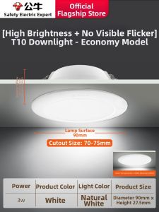 Bull | Flush Mount Recessed Downlight Ceiling Light