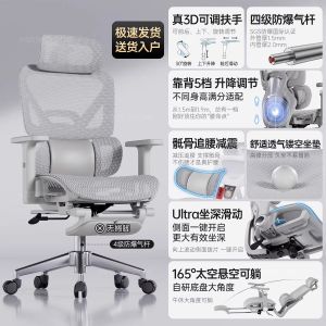 SAMEDREAM | Ergonomic Lumbar Support Chair
