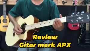 Gitar Akustik APX PRO PLAYER Custom Paket Bundle Efek Delay Reverb dan Packing Kayu Bergaransi