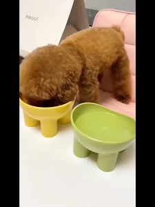 Pet Feeder Bowl Kaki Tinggi M44 Tempat Makan Hewan Peliharaan Kucing Anjing