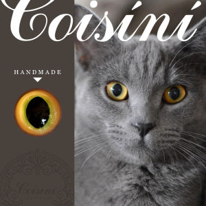 Đồ Chơi Thủ Công DIY Phụ Kiện Vải Lông Cừu Đồ Chơi Động Vật Mô Phỏng Mắt Thủy Tinh Voi Bằng Sợi Polyester Chất Liệu Thủ Công