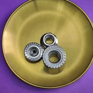 Flange Nut 304 Stainless Steel Hexagon Anti-Skid Screw Cap with Cushion Anti-Skid Nut Hardware Tools