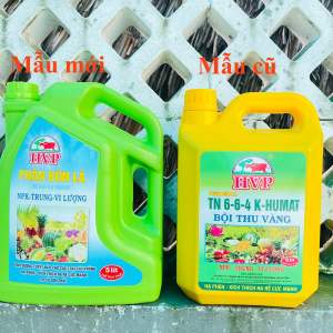 Phân bón lá HVP (Can 5L) TN 6 6 4 Humate Bội Thu Vàng HVP bổ sung đầy đủ đa trung vi lượng