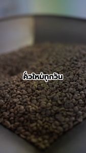 Cherrydog | เมล็ดกาแฟคั่วกลาง Roguedog เบลนโคลัมเบีย ขนาด 200g.- 1KG