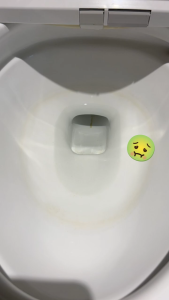 [SG Official Distributor][Made in UK] Astonish Pure Power 10X Toilet Gel - Action Cleaner Toilet Basin Cleaner Urine Stains Cleaning Agent 100% Limescale Removal 99.9% Bacterial Citrus Scent 750ml