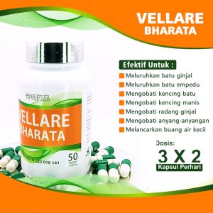 Obat Batu Ginjal Batu Empedu Kencing Batu Radang Ginjal Herbal Vellare Bharata 100% Asli